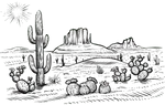 Desert Landscape - AAM Travels