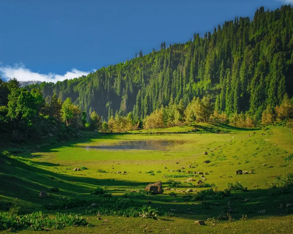 Naran Pk Tour Photo Gallery by AAM Travels Multan
