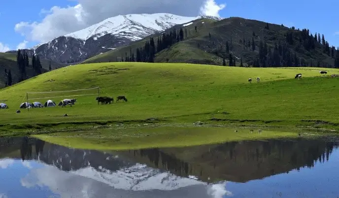 Siri Paye, The Meadow of Wildflowers - aamtravels.com